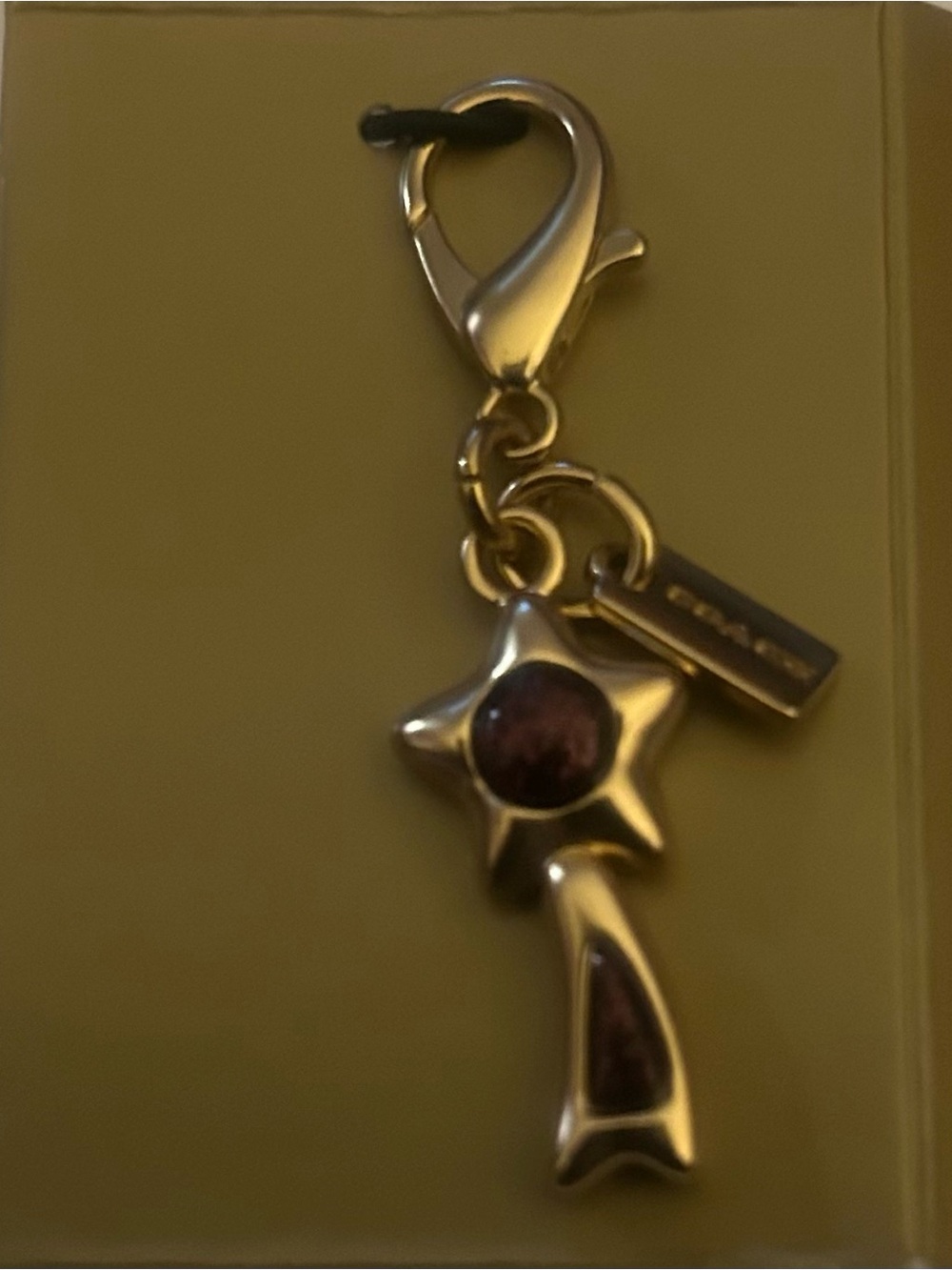 Coach Gold-Tone Star & Tail Charm Keychain with Purple Accent